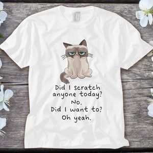 Grumpy Cat Have I Scratched Anyone Today Cat Lover Pet Cat Unisex Adult T-shirt
